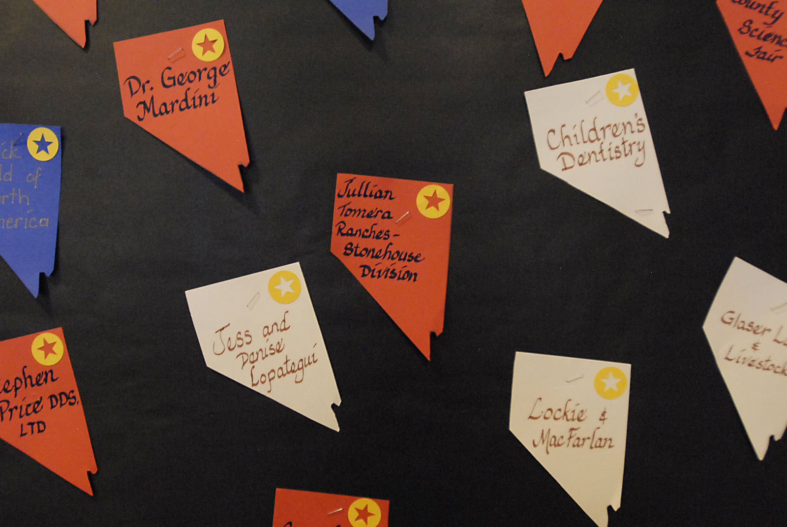 Annual County Science Fair